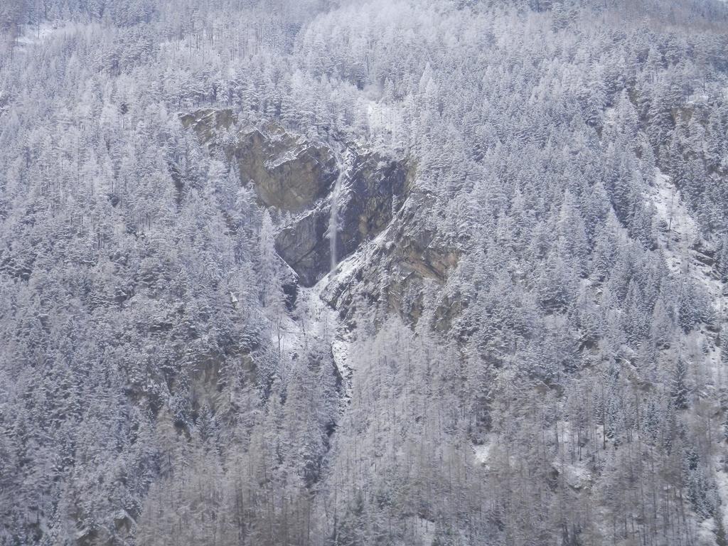לאנגנפלד Ferienhaus Alpenroyal חדר תמונה